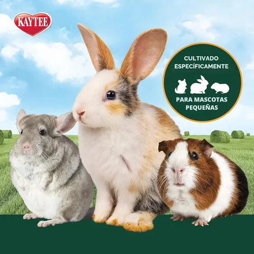 Vista 3 de Alimento para mascotas con zanahoria de heno de Fleo de Kaytee, Verdes