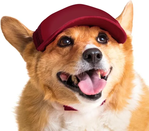 Vista 19 de DIY PupLid Trucker Hats (negro/blanco, XXS) - Sombrero de perro personalizable, lona en blanco para diseño personalizado, ajustable, protección