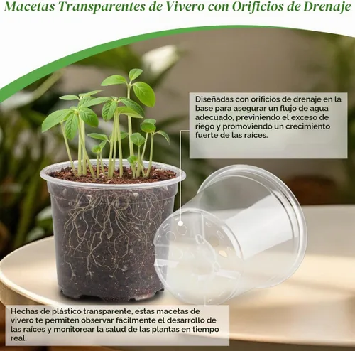 Vista 3 de RooTrimmer - Juego de 60 macetas transparentes para guardería con cúpulas de humedad, macetas de plástico de 4 pulgadas con agujeros de drenaje