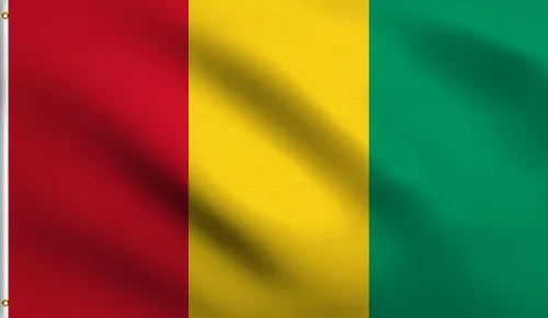 Vista 141 de DMSE - Bandera nacional beninesa beninesa de la República de África Occidental, 2 x 3 pies, 100 % poliéster, 100 % poliéster, resistente a los rayos