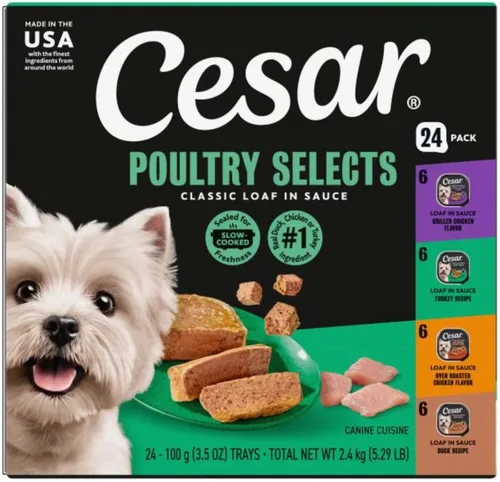 Vista 17 de Cesar - Comida húmeda gourmet para perros en paquete variado de 12 unidades (paquete de 2)