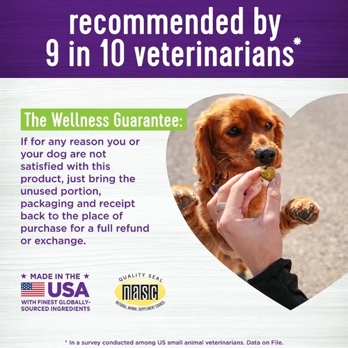 Vista 5 de Wellness Pumpkin Patch - Suplementos de salud digestiva suave con sabor a parche para perros, 45