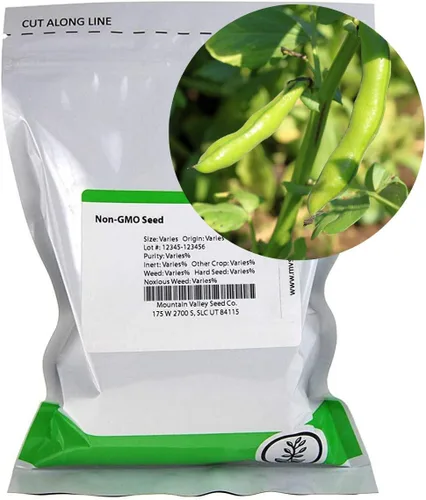 Vista 8 de Mountain Valley Seed Co Broad Windsor Fava - Semillas de frijol