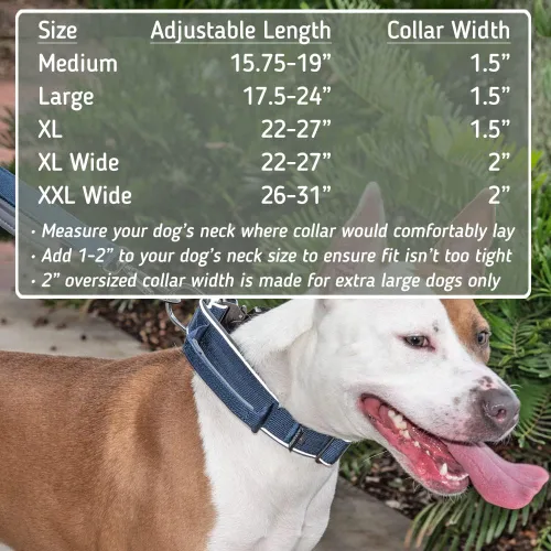 Vista 2 de Leash Boss Collar táctico para perro – Collar de perro con asa resistente ajustable militar K9 collar con hebilla de liberación rápida y asa