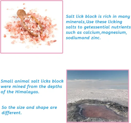 Vista 5 de PINVNBY Bloques de sal para conejos, 4 piezas de mascotas pequeñas del Himalaya lamen sal bloque de sal sales minerales naturales con gancho