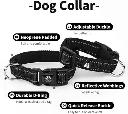 Vista 4 de IVY&LANE Juego de collar y correa reflectante para perro, collares de perro acolchados de neopreno ajustable para cachorros, collar de nailon