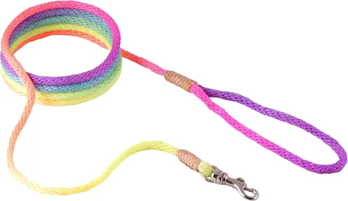Vista 46 de Alvalley Correa para perros estilo broche – Correa de nailon estilo broche para perros – Fácil de manejar – Perfecto para perros pequeños, medianos