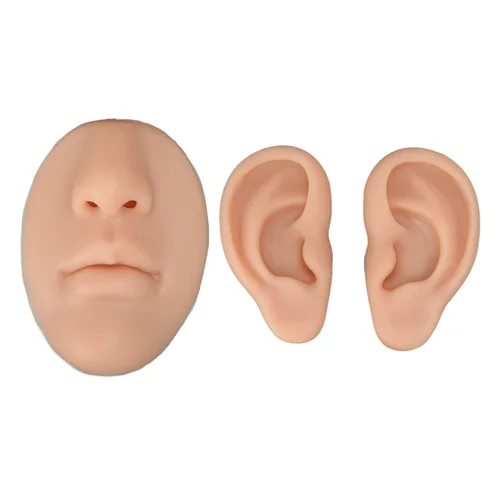 Vista 10 de Dioche Modelo 3D simulado de nariz y boca para práctica de piercing, herramienta de enseñanza segura, ligera y versátil para aspirantes a artistas
