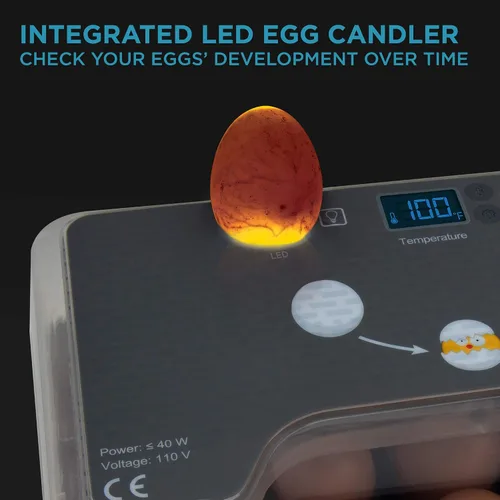 Vista 5 de Jumbl Incubadora de huevos transparente, máquina digital totalmente automática para eclosionar aves de corral, control de temperatura y girador