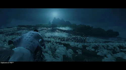 Vista 9 de Ghost of Tsushima Director's Cut (PS4)