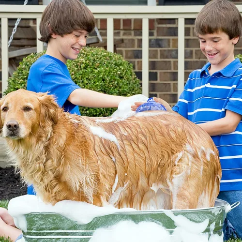 Vista 6 de Cepillo para aseo de perros, cepillo de baño con champú para mascotas Lilpep, masaje relajante, peine de goma con mango de anillo ajustable para Azul