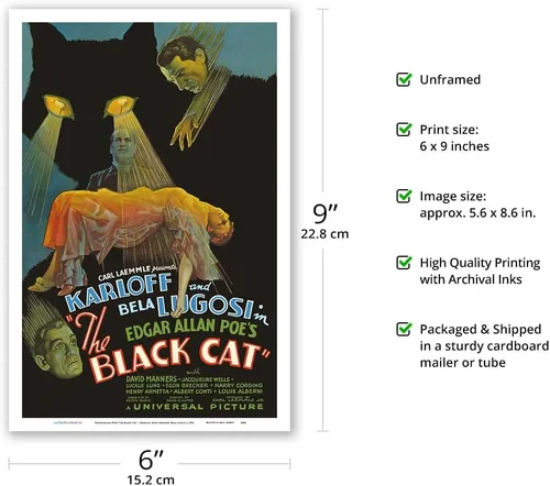 Vista 2 de Edgar Allan Poe's The Black Cat - Protagonizada por Boris Karloff Bela Lugosi - Póster de película vintage c.1934 - Impresión artística maestra