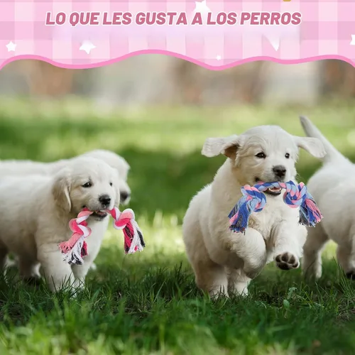 Vista 4 de Paterr 12 piezas de cuerda de algodón juguetes para perros pequeños cachorros dentición