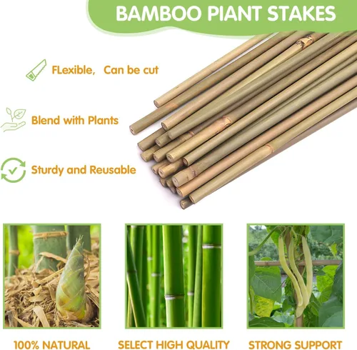 Vista 4 de Estacas para plantas, estacas de bambú natural resistentes de 4 pies de largo, GAGINANG 25 piezas de varillas de bambú de soporte de enrejado