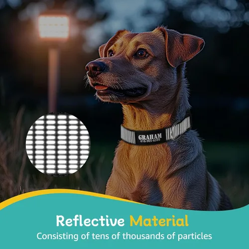 Vista 4 de Collar de perro personalizado con nombre y número impresos, collares reflectantes ajustables personalizados con hebilla para perros pequeños