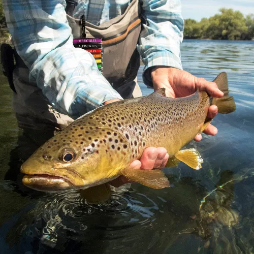 Vista 7 de HERCULES Línea de pesca con mosca flotante peso adelante Fly Line con doble lazo soldado