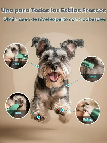 Vista 2 de oneisall Kit de aseo para perros 4 en 1 con pantalla LCD verde