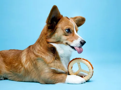 Vista 5 de Hartz Chew 'n Clean - Juguete masticable y trate en un anillo con sabor a pollo, para perro, mediano RING