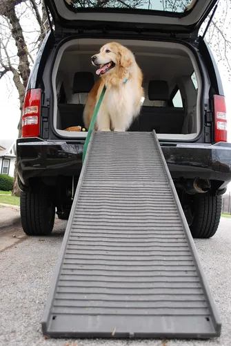 Vista 3 de Petstep Rampa plegable auténtica para mascota, KhakiBeige