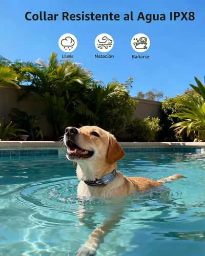 Vista 5 de Collar de choque para perro, collar de entrenamiento para perros de 4500 pies con control remoto, IPX8 impermeable, collar eléctrico para perro
