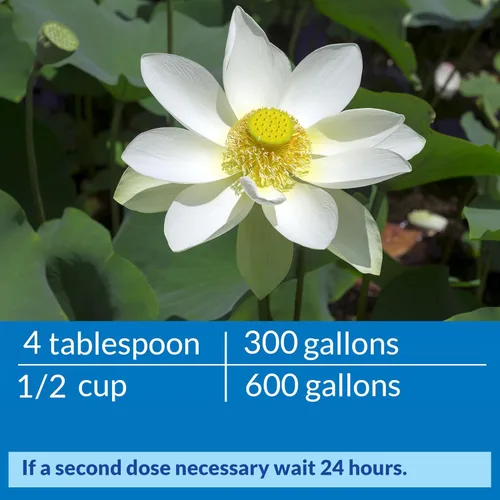 Vista 5 de API POND ACCU-CLEAR - Clarificador de agua para estanque de 1 galón Quickly Cleans Cloudy Pond Water - Treats Up To 19,200 Gallons - Safe for Pets