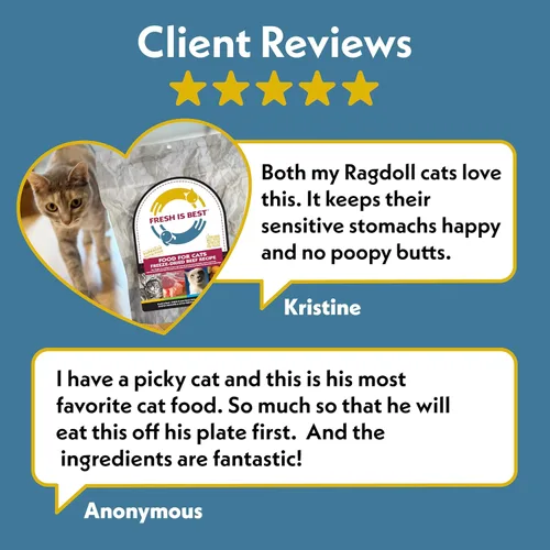 Vista 8 de Fresh Is Best Alimento liofilizado de carne de res para gatos, alimento crudo para gatos y felinos adultos, carne de res liofilizada con alto