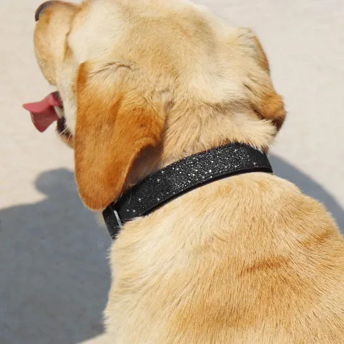 Vista 7 de TDTOK Collar básico brillante para perro, cómodo y duradero, collar para perros pequeños, medianos y grandes con hebilla de plástico ecológica