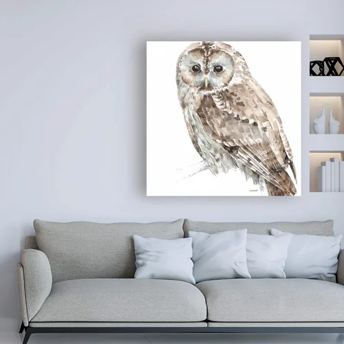 Vista 3 de Trademark Fine Art, Sombra suave Forest Friends III de 18x18 por Lisa Audit