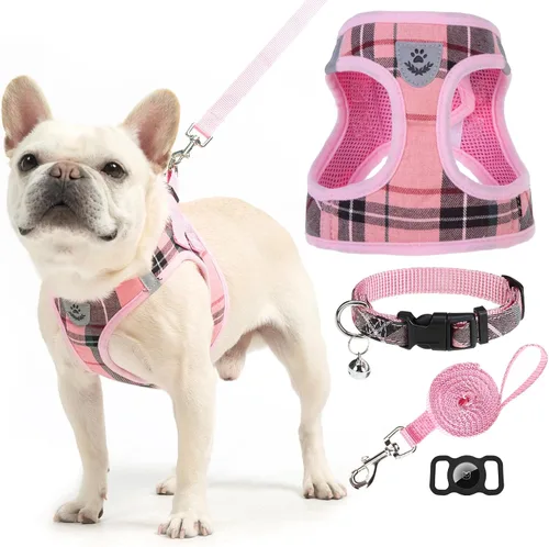 Vista 39 de Arnés para cachorros de otoño de Acción de Gracias - Collar y correa para perro - Arnés de chaleco para perros pequeños de malla suave acolchada