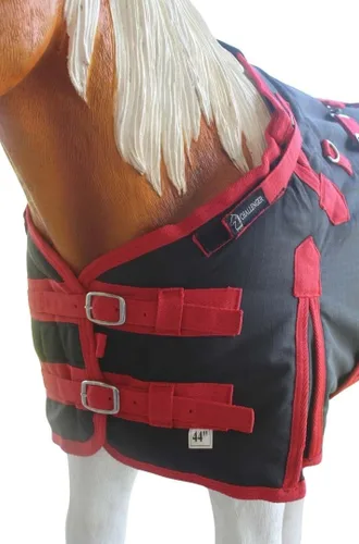 Vista 2 de Manta de invierno de 42" 1200D para potro, poni, caballo, y asno en miniatura rojo BLK 51946 Challenger