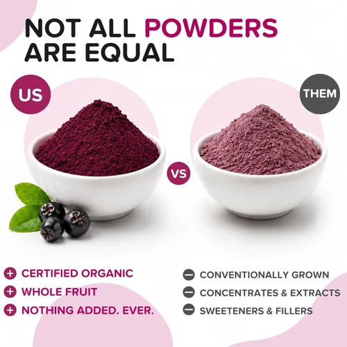 Vista 5 de Polvo de bayas de Aronia natural, superalimento de chokeberry negro, alto en antocianinas y polifenoles, apoya el sistema inmunológico