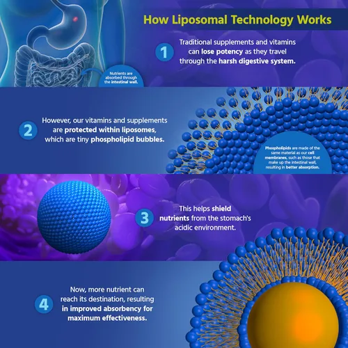Vista 6 de Core Med Science Fórmula liposomal en aerosol oral para dormir, 1 onza líquida, el spray de melatonina apoya un sueño reparador y de calidad