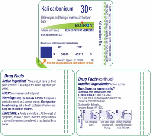 Vista 9 de Boiron Kali Carbonicum 30C Medicina homeopática para resfriados - 80 pellets