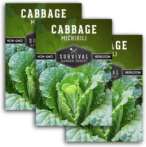 Vista 10 de Survival Garden Seeds - Semilla de col Michihili Napa/Nappa para plantar - Paquete con instrucciones para plantar y cultivar verduras Brassica
