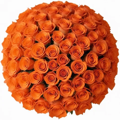 Vista 8 de 18 rosas de arco iris de colores surtidos con jarrón Ramos de Arabella Flores frescas reales para entrega, regalo para cumpleaños, mujeres