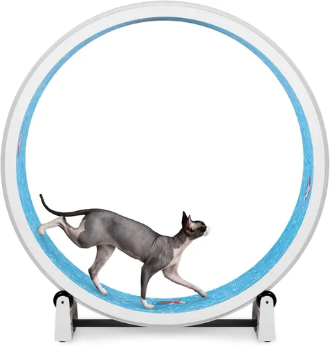 Vista 8 de One Fast Cat - Rueda de ejercicio para gatos, fabricada en los Estados Unidos, 48 pulgadas de diámetro, Gen. 7
