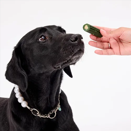 Vista 7 de ARK NATURALS Pasta de dientes sin escobillas, masticables dentales para perros para razas grandes, refresca el aliento, ayuda a reducir la placa
