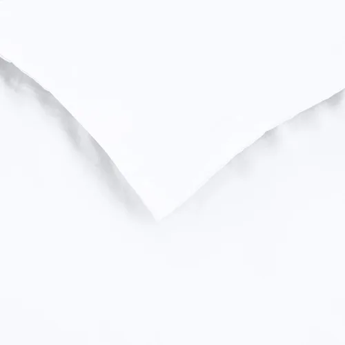 Vista 4 de Amazon Basics - Juego de funda de edredón de microfibra ligera de 2 piezas con cierre de cremallera, Twin/Twin XL, Blanco brillante, sólido