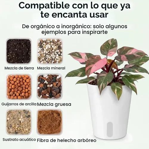 Vista 4 de Paquete de 8 macetas de riego automático de 4 pulgadas para plantas de interior, taza interior transparente, pequeñas macetas de plástico blanco