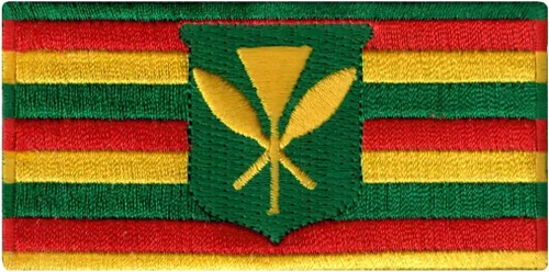 Vista 33 de Parche Bordado de la Bandera del Estado de Minnesota, Emblema MN, Planchado, Versión 2024