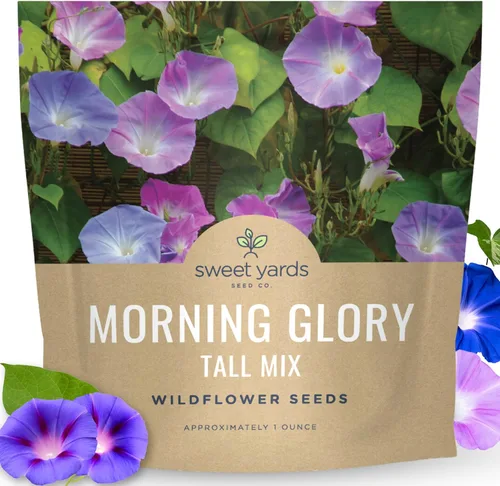 Vista 8 de Morning Glory Tall Mix - Bolsa a granel de 1/4 libra - 3,000 semillas de flores para plantar - Ipomoea purpurea