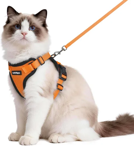 Vista 14 de rabbitgoo Cat Harness and Leash Set, Escape Proof Vest, XXS, Berry Pounce Soft Breathable Mesh, No-choke Adjustable Fit, Snap Buckles, Sturdy