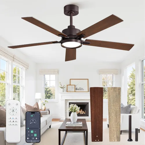 Vista 16 de 52 Inch Ceiling Fan with Lights,APP&Remote Control,DC Motor Black