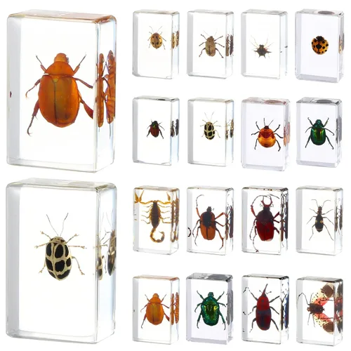 Vista 11 de 16 piezas de insectos mariposa en espécimen de resina, colección de bichos, pisapapeles, 16 estilos de espécimen real de bichos, kit de bichos