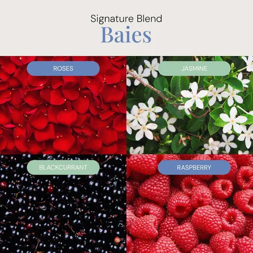 Vista 3 de Aceite aromático Baies, mezcla de aceites esenciales para difusores y máquinas de aroma, ramo floral con detalles de grosella negra y cítricos