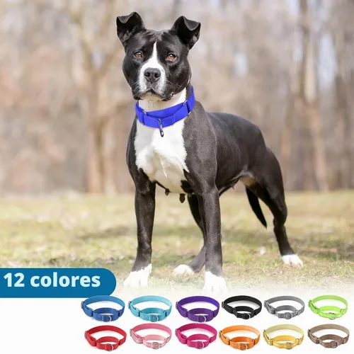 Vista 6 de 12 piezas de collares Martingale para perros medianos, collar reflectante para perros con hebilla de metal duradera ajustable de nylon