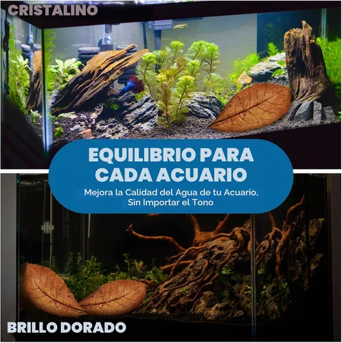 Vista 6 de SunGrow Catappa Hojas de almendra india, 8 pulgadas, para camarones de agua dulce y peces tropicales