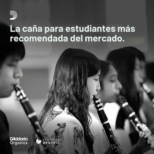 Vista 8 de Cañas para saxo tenor Rico