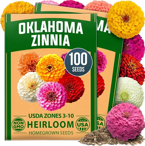 Vista 48 de HOME GROWN Semillas de Hollyhock de doble mezcla de Chater, 200 semillas