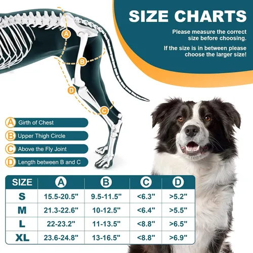 Vista 6 de Rodillera para Perro Dollephi para Pierna Trasera Desgarrada ACL, Compresa Caliente/Fría para Luxación de Rótula u Osteoartritis, Lesiones
